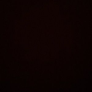 Meet your Posher, Trevor